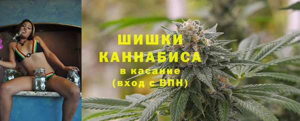 гидра Покровск