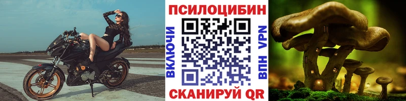 Псилоцибиновые грибы мухоморы  Великий Устюг 