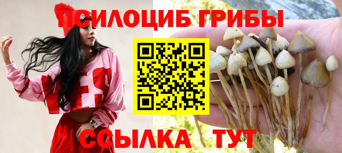 Галлюциногенные грибы Magic Shrooms  Великий Устюг 